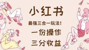 小红书最强三合一玩法,一份操作获得三份收益!【揭秘】-享创网