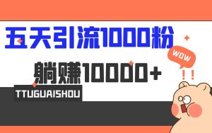 5天引流1000+,赚了1w+-享创网