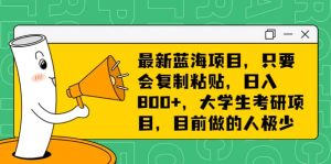 最新蓝海项目，只要会复制粘贴，日入800+，大学生考研项目，目前做的人极少-享创网