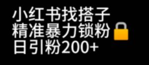 小红书找搭子暴力精准锁粉+引流日引200+精准粉-享创网