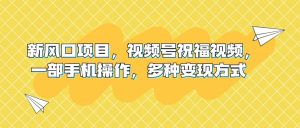 新风口项目，视频号祝福视频，一部手机操作，多种变现方式-享创网