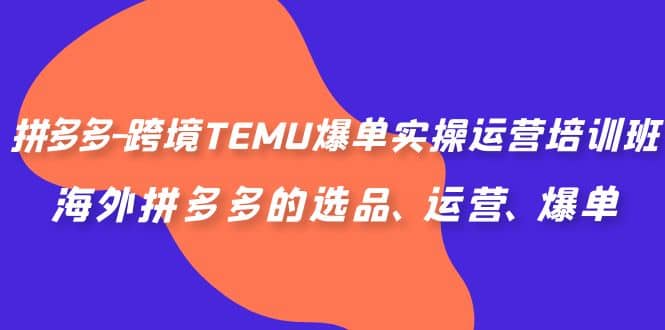 拼多多-跨境TEMU爆单实操运营培训班，海外拼多多的选品、运营、爆单-享创网