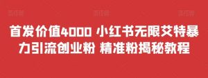 首发价值4000 小红书无限艾特暴力引流创业粉 精准粉揭秘教程-享创网