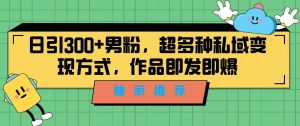 独家推荐!日引300+男粉,超多种私域变现方式,作品即发即报-享创网