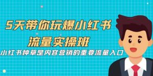 5天带你玩爆小红书流量实操班,小红书种草是内容营销的重要流量入口-享创网