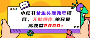 小红书女生头像账号项目,无脑操作,单日最高收益2000+-享创网