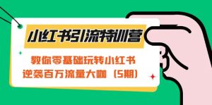 小红书引流特训营-第5期:教你零基础玩转小红书,逆袭百万流量大咖-享创网