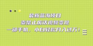 最新蓝海项目,靠禁止废话视频变现,一部手机,小白轻松月入过万!-享创网
