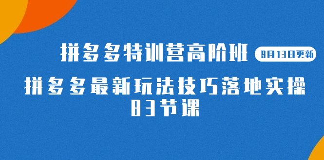 2023拼多多·特训营高阶班【9月13日更新】拼多多最新玩法技巧落地实操-83节-享创网