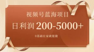 视频号蓝海项目，0基础在家也能做，一天200-5000+【附266G资料】-享创网