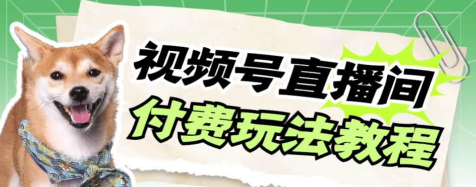 视频号美女付费无人直播，轻松日入500+【详细玩-享创网