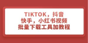 TIKTOK，抖音，快手，小红书视频批量下载工具加教程-享创网