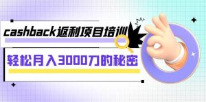 cashback返利项目培训:轻松月入3000刀的秘密(8节课)-享创网