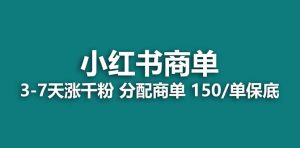 【蓝海项目】2023最强蓝海项目,小红书商单项目,没有之一!-享创网