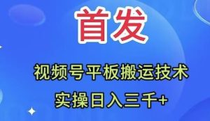全网首发:视频号平板搬运技术,实操日入三千+-享创网