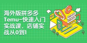 海外版拼多多Temu-快速入门实战课，店铺实战从0到1（12节课）-享创网
