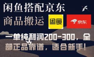 闲鱼搭配京东备份库搬运,一单纯利润200-300,全部正品靠谱,适合新手!-享创网