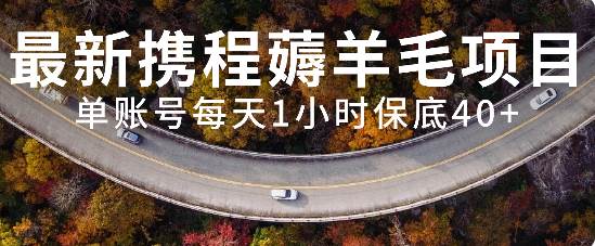 最新携程薅羊毛项目，单账号每天1小时保底收益40+，可矩阵操作-享创网