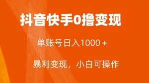 全网首发,单账号收益日入1000+,简单粗暴,保底5元一单,可批量单操作-享创网