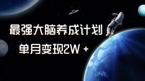 冷门虚拟项目,最强大脑养成计划,一个月变现2W+-享创网