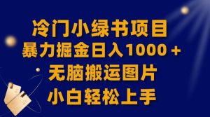 【全网首发】冷门小绿书暴力掘金日入1000+,无脑搬运图片小白轻松上手-享创网