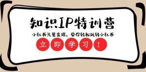 知识IP特训营 :小红书-流量变现,带你轻松玩转小红书(23节视频课)-享创网