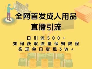 最新全网独创首发，成人用品直播引流获客暴力玩法，单日变现3w保姆级教程-享创网