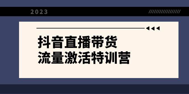 抖音直播带货-流量激活特训营，入行新手小白主播必学（21节课+资料）-享创网