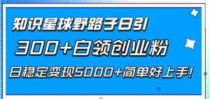 知识星球野路子日引300+白领创业粉，日稳定变现5000+简单好上手！-享创网
