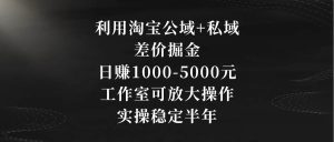 利用淘宝公域+私域差价掘金，日赚1000-5000元，工作室可放大操作，实操…-享创网