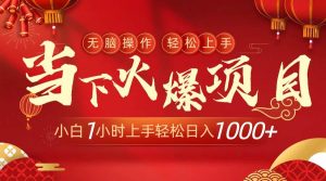 当下火爆项目,操作简单,小白仅需1小时轻松上手日入1000+-享创网