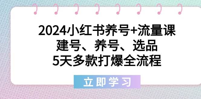 2024小红书养号+流量课：建号、养号、选品，5天多款打爆全流程-享创网