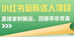 小红书矩阵达人项目,直接复制搬运,回报率非常高-享创网