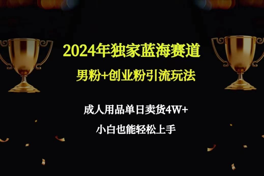 2024年独家蓝海赛道男粉+创业粉引流玩法，成人用品单日卖货4W+保姆教程-享创网