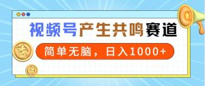 2024年视频号，产生共鸣赛道，简单无脑，一分钟一条视频，日入1000+-享创网