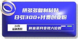 拼多多复制粘贴日引300+付费创业粉,割韭菜月变现六位数最新教程!-享创网