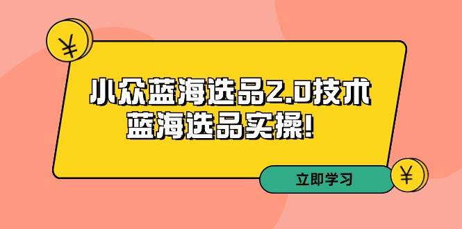 拼多多培训第33期：小众蓝海选品2.0技术-蓝海选品实操！-享创网