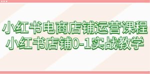 小红书电商店铺运营课程,小红书店铺0-1实战教学(60节课)-享创网