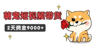 东哲日记·萌宠短视频带货，2天佣金9000+-享创网