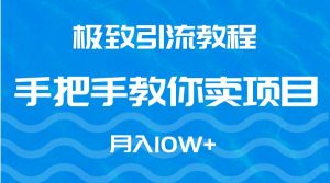 极致引流教程，手把手教你卖项目，月入10W+-享创网