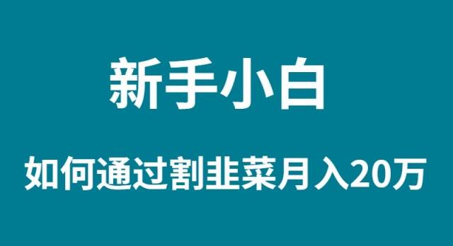 新手小白如何通过割韭菜月入 20W-享创网