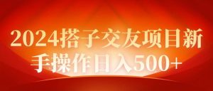 2024同城交友项目新手操作日入500+-享创网