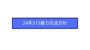 2024年315暴力引流方针-享创网