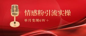 单月变现6w+,情感粉引流变现实操课-享创网