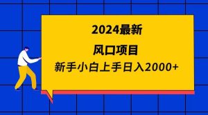 2024最新风口项目 新手小白日入2000+-享创网