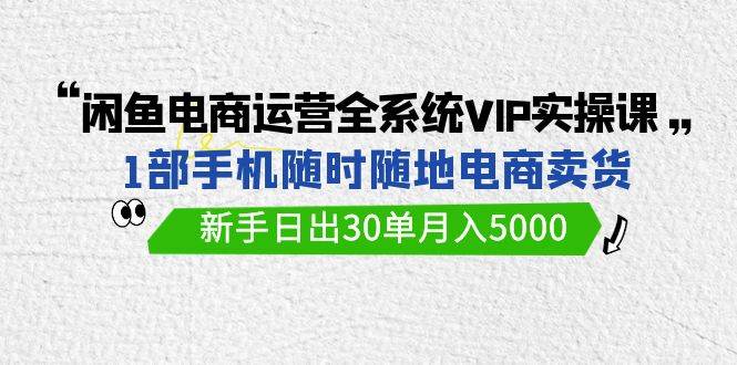 闲鱼电商运营全系统VIP实战课，1部手机随时随地卖货，新手日出30单月入5000-享创网