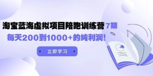 黄岛主《淘宝蓝海虚拟项目陪跑训练营7期》每天200到1000+的纯利润-享创网