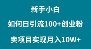新手小白如何通过卖项目实现月入10W+-享创网