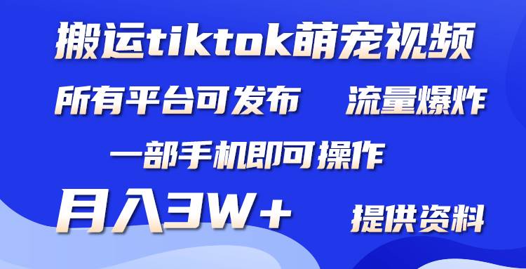 搬运Tiktok萌宠类视频，一部手机即可。所有短视频平台均可操作，月入3W+-享创网