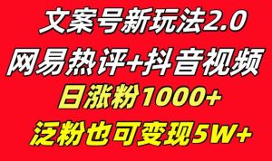 文案号新玩法 网易热评+抖音文案 一天涨粉1000+ 多种变现模式 泛粉也可变现-享创网
